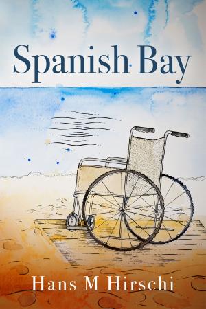 Cover of the book Spanish Bay by J P Walker