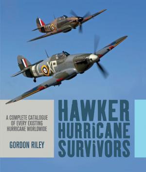 Cover of the book Hawker Hurricane Survivors by Arto der Haroutunian