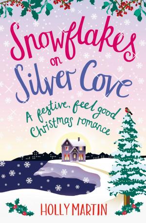 Book cover of Snowflakes on Silver Cove