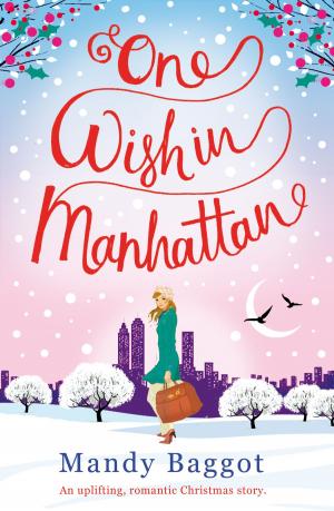 Cover of the book One Wish in Manhattan by Sharon Maas
