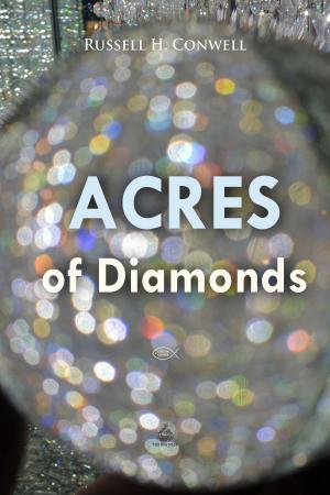 Cover of the book Acres of Diamonds by James Stephens