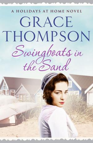 Cover of the book Swingboats on the Sand by Jeff Dawson