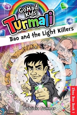 Cover of Bao and the Light Killers