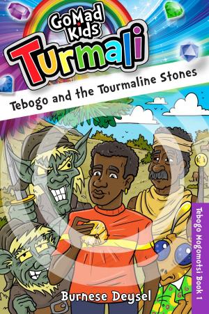 Cover of the book Tebogo and the Tourmaline Stones by CC Hogan