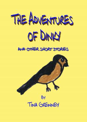Cover of the book The Adventures of Dinky by Vanessa Bunting