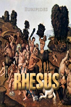 Cover of the book Rhesus by Helen Bannerman