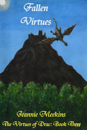 Cover of the book Fallen Virtues by Jeannie Meekins