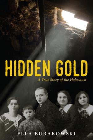 Cover of the book Hidden Gold by Ken Setterington