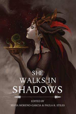 Cover of the book She Walks in Shadows by R. David Nelson, Patricia E. Moody, Jon Stegner
