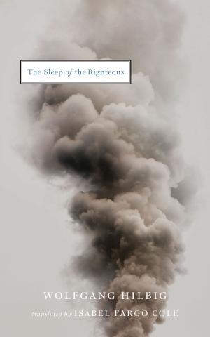 Cover of the book The Sleep of the Righteous by Marie NDiaye