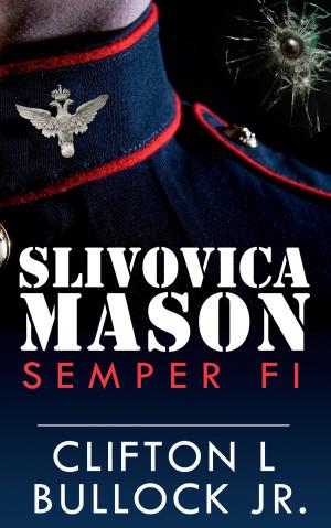 Cover of the book Slivovica Mason by Leslie Stolfe