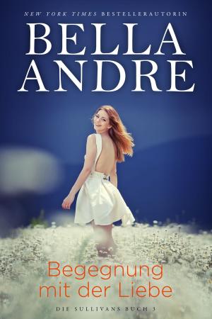 Cover of the book Begegnung mit der Liebe (Die Sullivans 3) by Bella Andre, Lucy Kevin