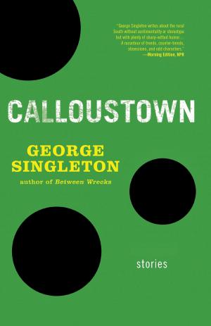 Cover of the book Calloustown by Stephen Dixon