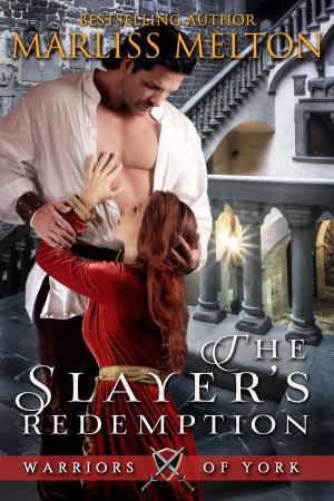 Book cover of The Slayer's Redemption