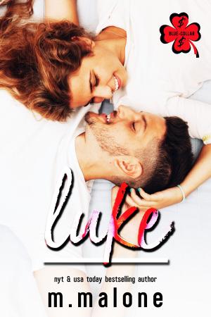 Cover of the book Luke by Amanda Anderson