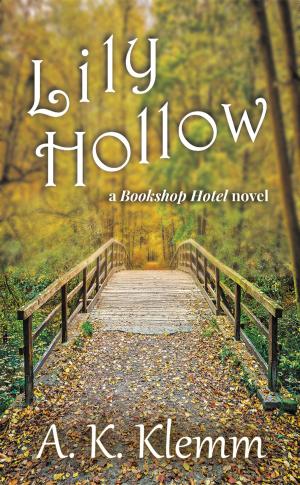 Cover of the book Lily Hollow by Lizzie Shane