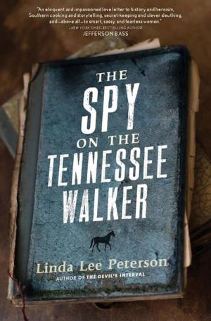 Cover of the book The Spy on the Tennessee Walker by Michael Piafsky