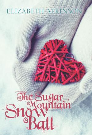 Cover of the book The Sugar Mountain Snow Ball by G. A. Morgan
