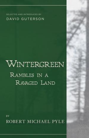 Cover of the book Wintergreen by Elena Lappin