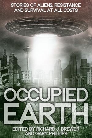 Cover of the book Occupied Earth by Howard Kaminsky