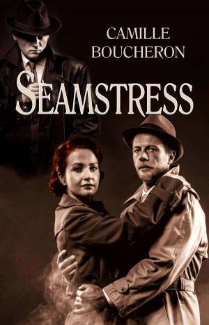 Cover of the book Seamstress by Jacqueline Corcoran