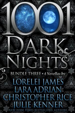 Book cover of 1001 Dark Nights: Bundle Three