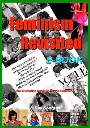 Cover of the book Feminism Revisited (Vol. 1, Lipstick and War Crimes Series) by Alison Shaw
