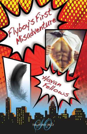 Cover of the book Flyboy's First Misadventure by Jenny Han