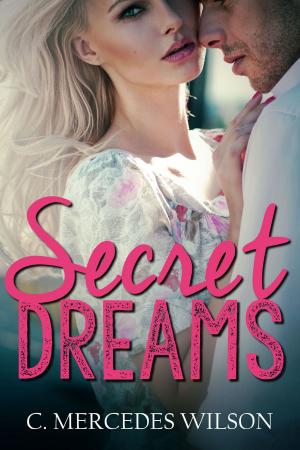 Cover of the book Secret Dreams by Van Barrett