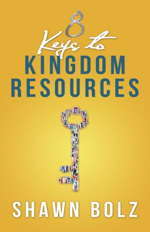 Book cover of 8 Keys to Kingdom Resources