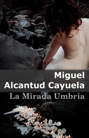 Cover of the book La Mirada Umbría by Bobo Rondelli