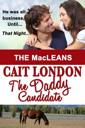 Cover of the book The Daddy Candidate by Don Wooldridge