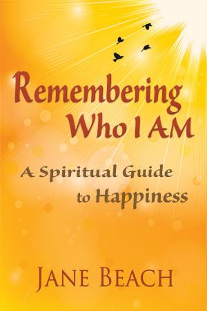 Cover of the book Remembering Who I Am: A Spiritual Guide to Happiness by Jay Ebben
