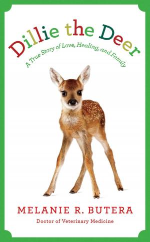 Cover of the book Dillie the Deer by Amanda Lepore, Thomas Flannery