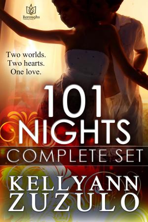 Cover of the book 101 Nights Box Set by Lilli Carlisle