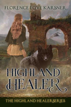 Cover of the book Highland Healer by Donald Wigboldy Jr