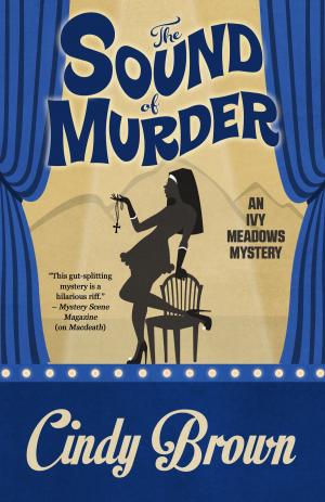 Cover of the book THE SOUND OF MURDER by Ritter Ames