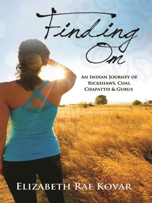 Book cover of Finding Om