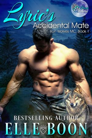 Book cover of Lyric's Accidental Mate