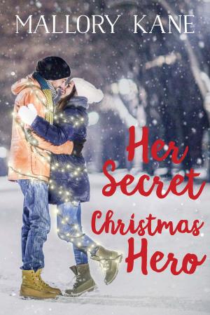 Cover of the book Her Secret Christmas Hero by Pamela Daniell