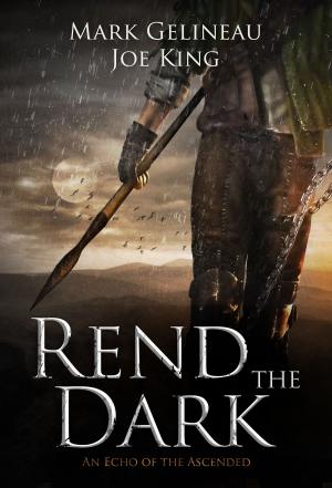 Book cover of Rend the Dark