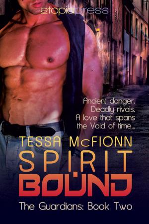 Cover of the book Spirit Bound by Ally Shields