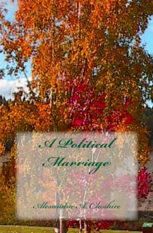 Cover of the book A Political Marriage by Sarah Dahlmann