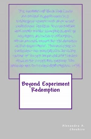 bigCover of the book Beyond Experiment Redemption by 