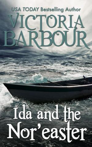 bigCover of the book Ida and the Nor'easter by 