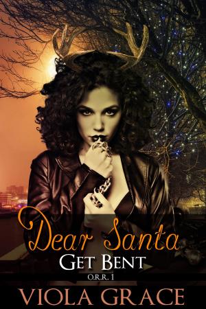 Cover of the book Dear Santa, Get Bent! by Stegodino