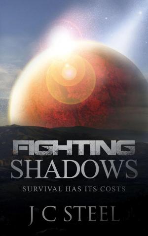 Cover of Fighting Shadows