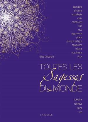 Cover of the book Toutes les sagesses du monde by Madame de Sévigné
