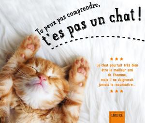 Cover of the book Tu peux pas comprendre, t'es pas un chat ! by Collectif