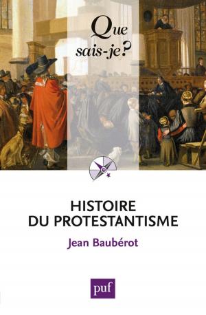 Cover of the book Histoire du protestantisme by François-Charles Mougel, Séverine Pacteau